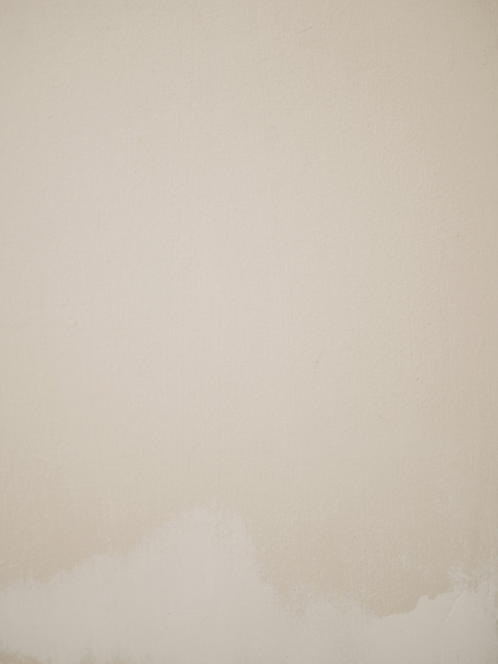 white wall paint with white wall paint