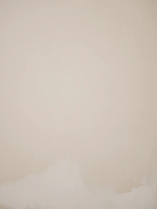 white wall paint with white wall paint