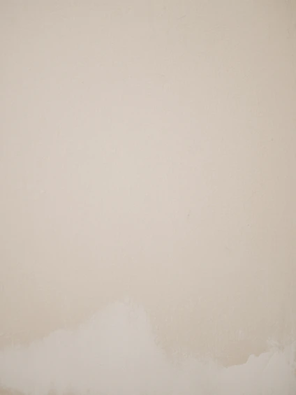 white wall paint with white wall paint