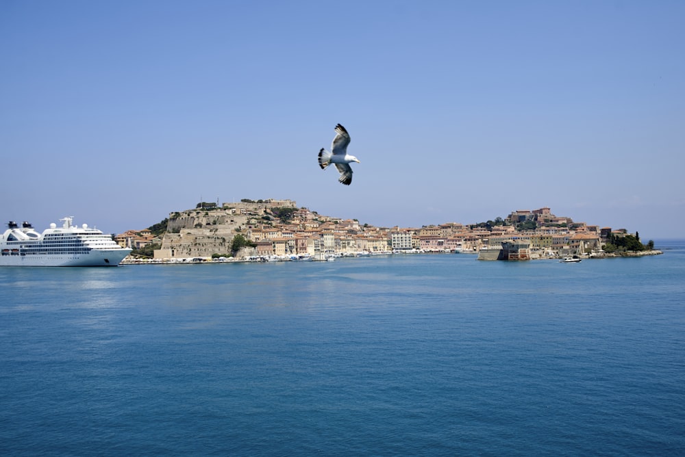 Mann in weißem Hemd und schwarzer Hose springt tagsüber auf blauem Meer unter blauem Himmel