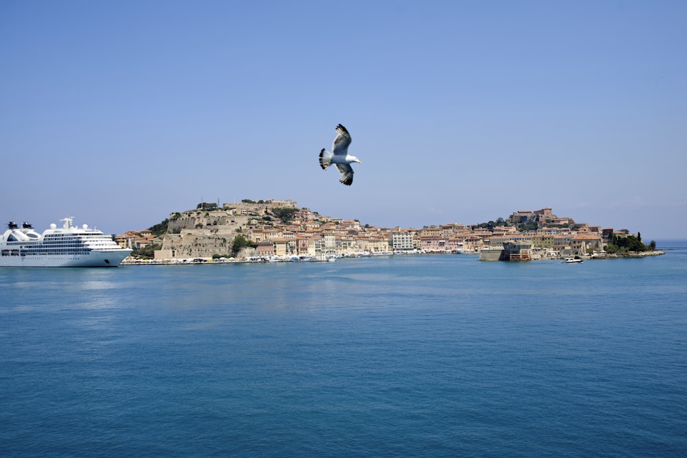 homme en chemise blanche et pantalon noir sautant sur la mer bleue sous le ciel bleu pendant la journée