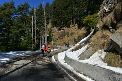 An expert guiding a group through a mountain trail under clear blue skies.