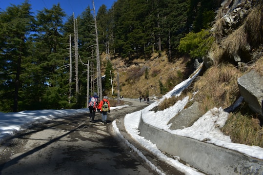 A scenic mountain path lined with snow on either side. Tall, evergreen trees tower over the path, and a group of people with backpacks are walking along it. The clear blue sky suggests a bright, sunny day.