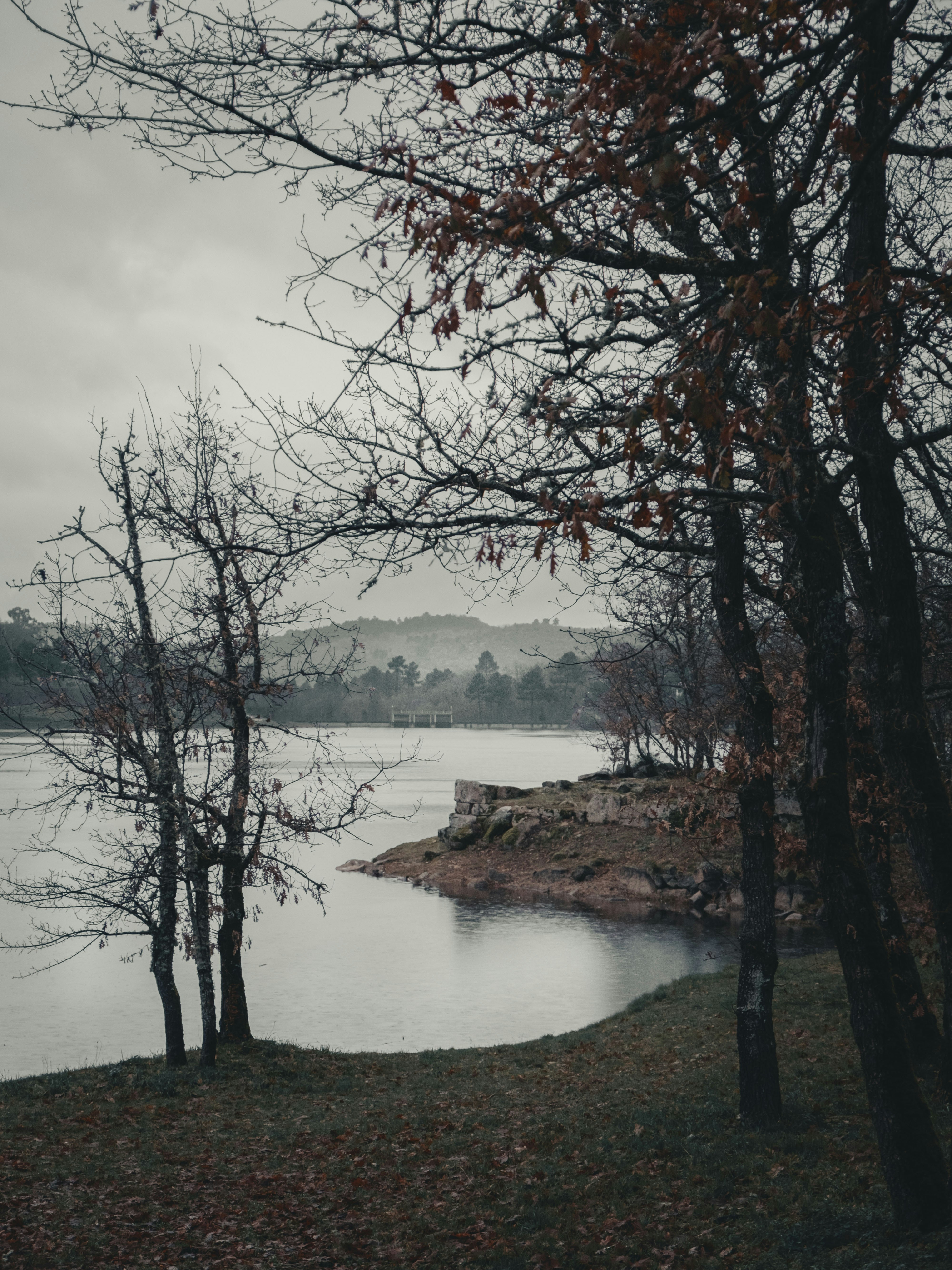 Photo by absolutocaos