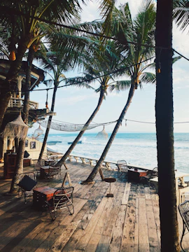 Spacious beachfront property with palm trees and a wooden deck facing the ocean.