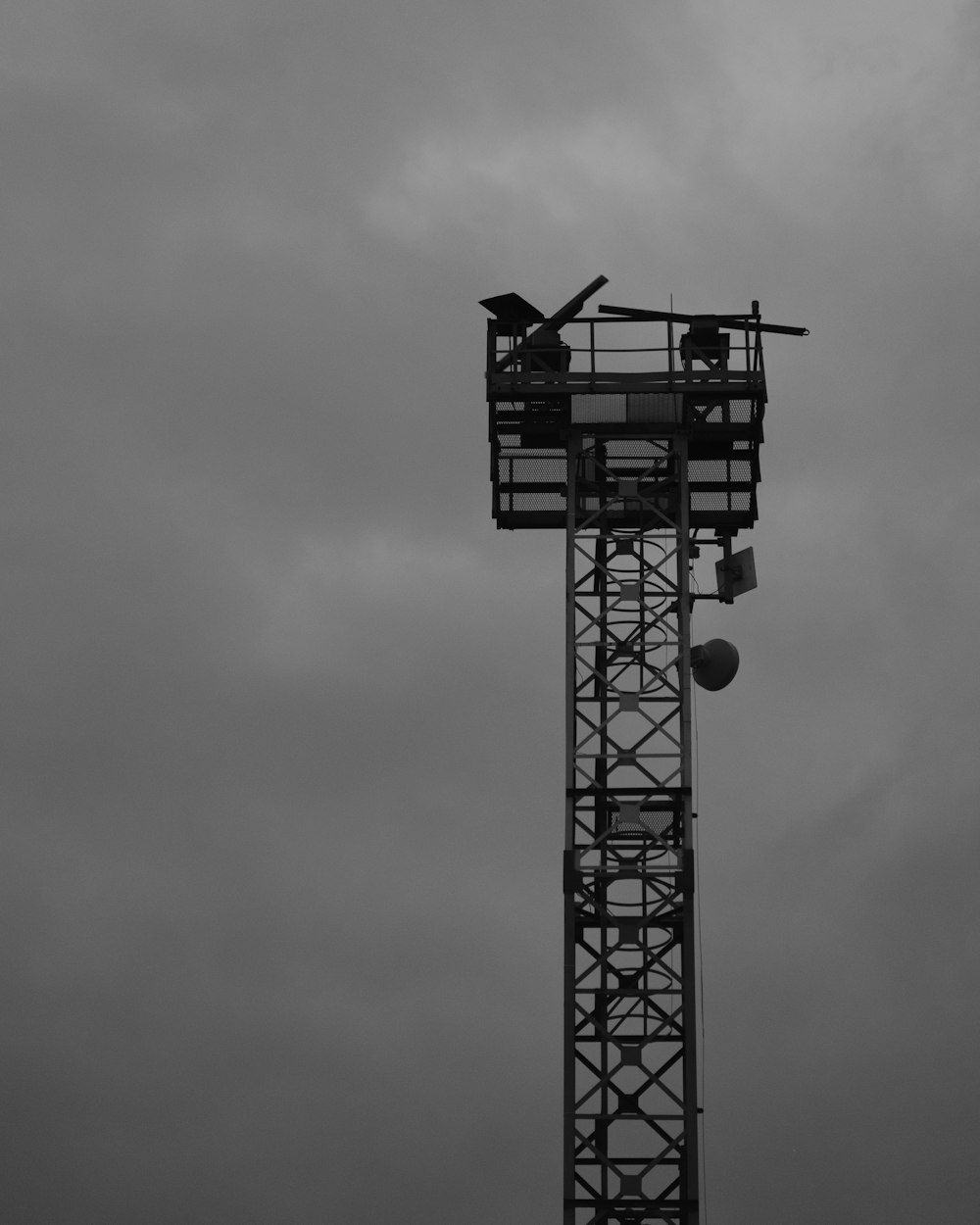 black and white crane under cloudy sky