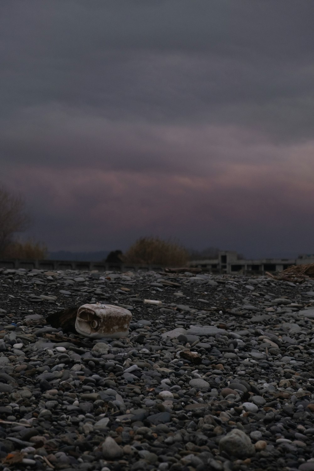 brown bare trees on gray rocky ground under gray sky during daytime