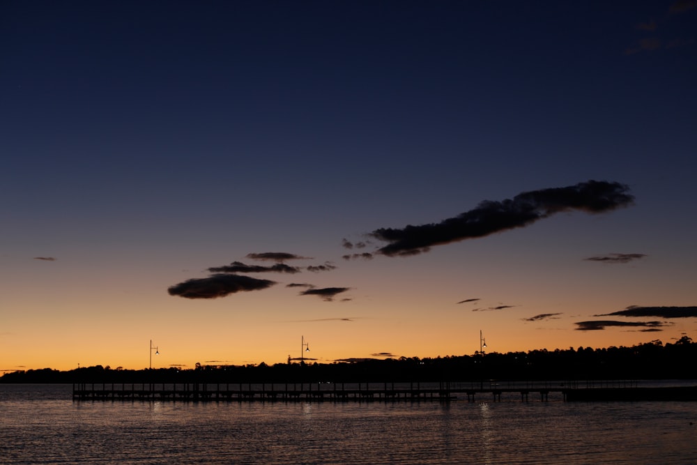 silhouette of birds flying over the sea during sunset