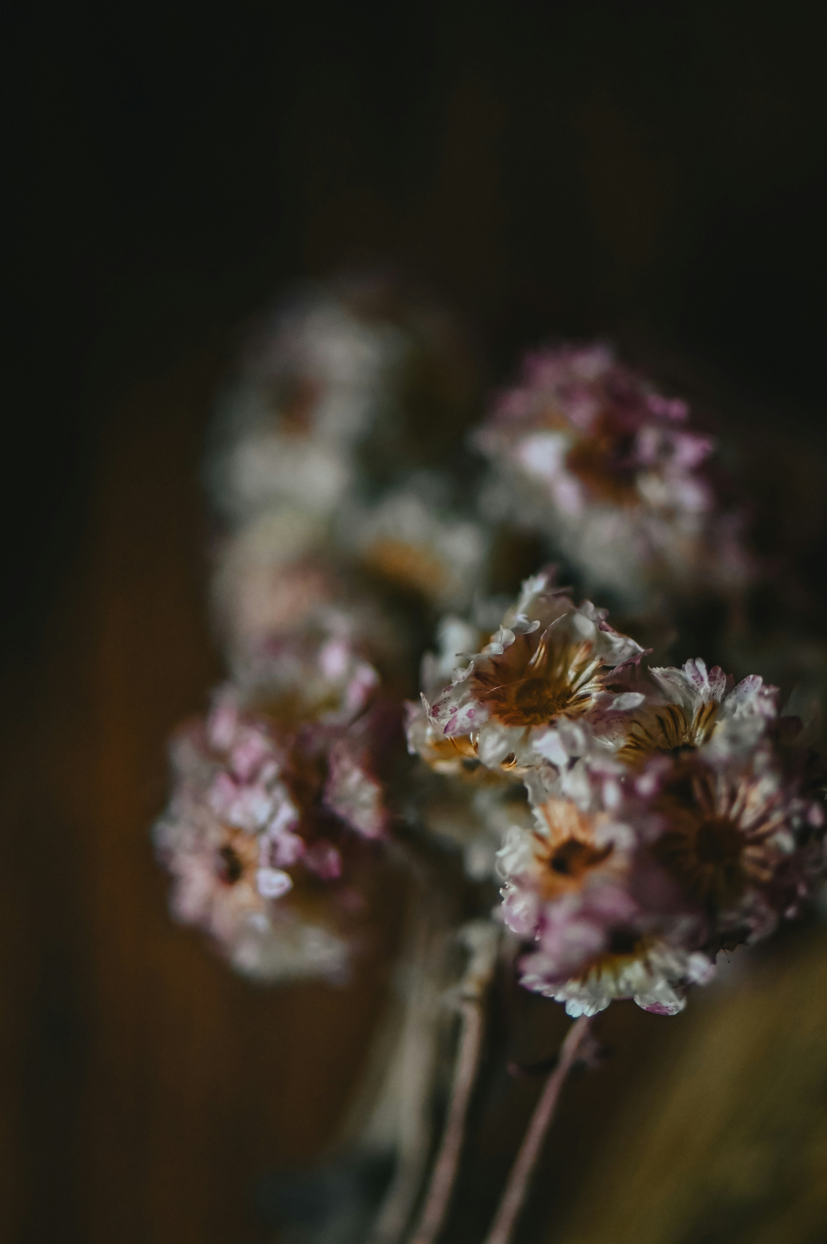 Photo by gaellemarcel