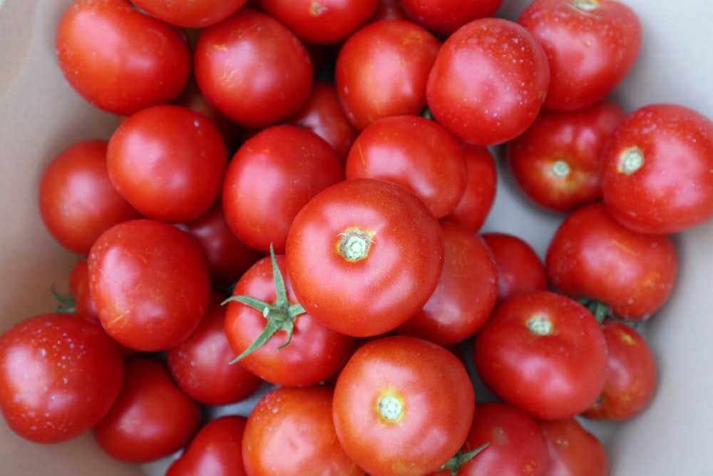 rote Tomaten auf weißem Keramikteller