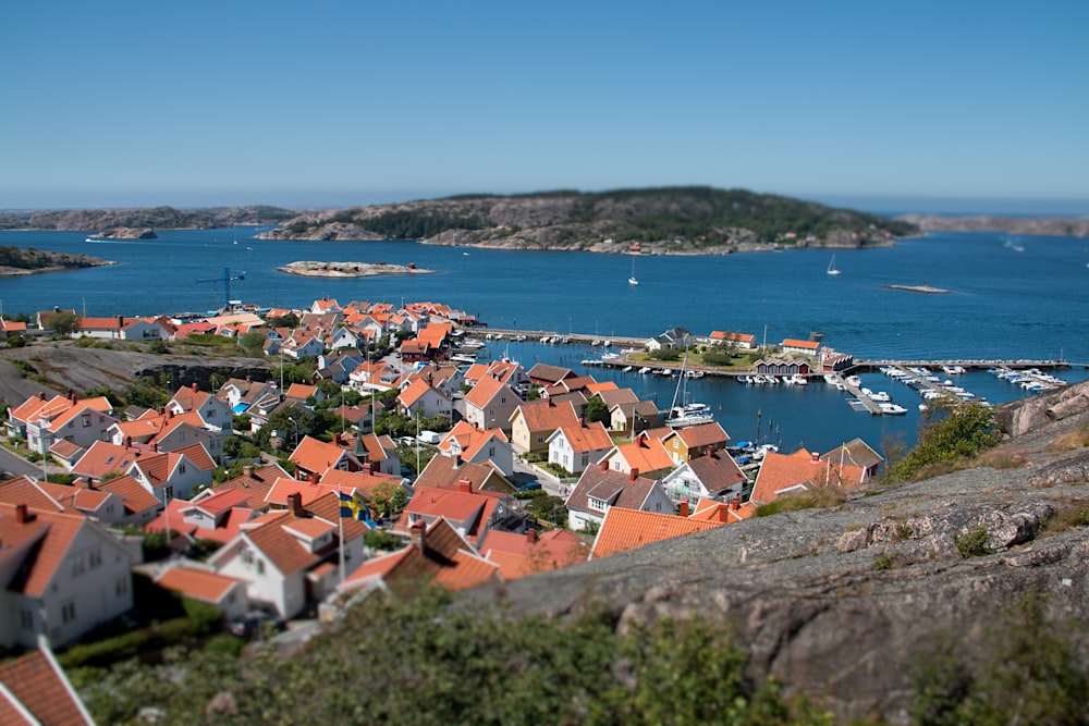 brown and white houses near body of water during daytime