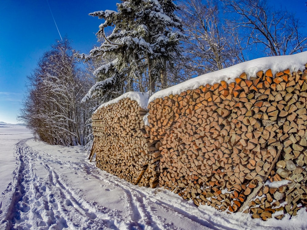 brown wooden fence covered by snow during daytime