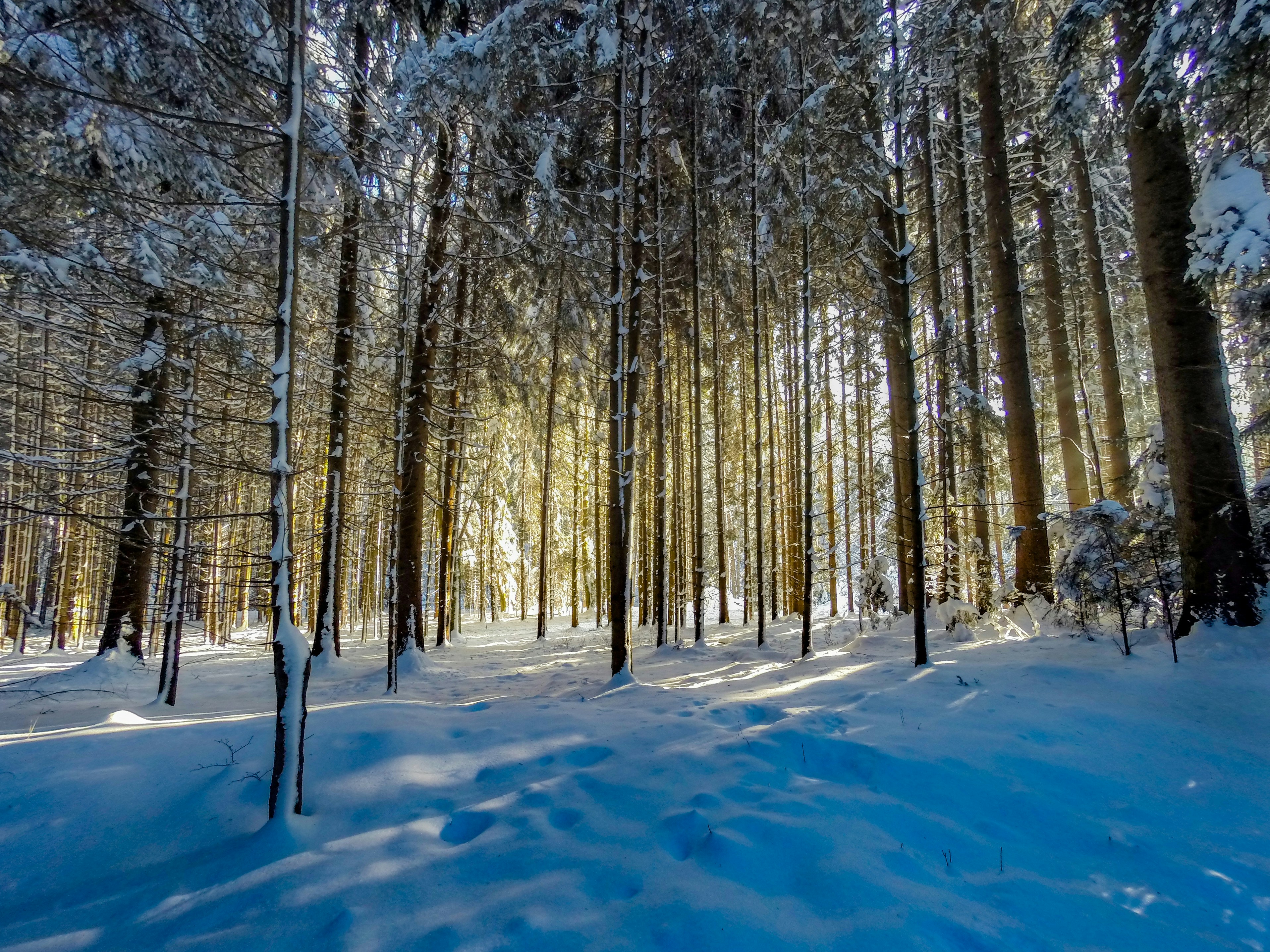 Photo by gunnarridder