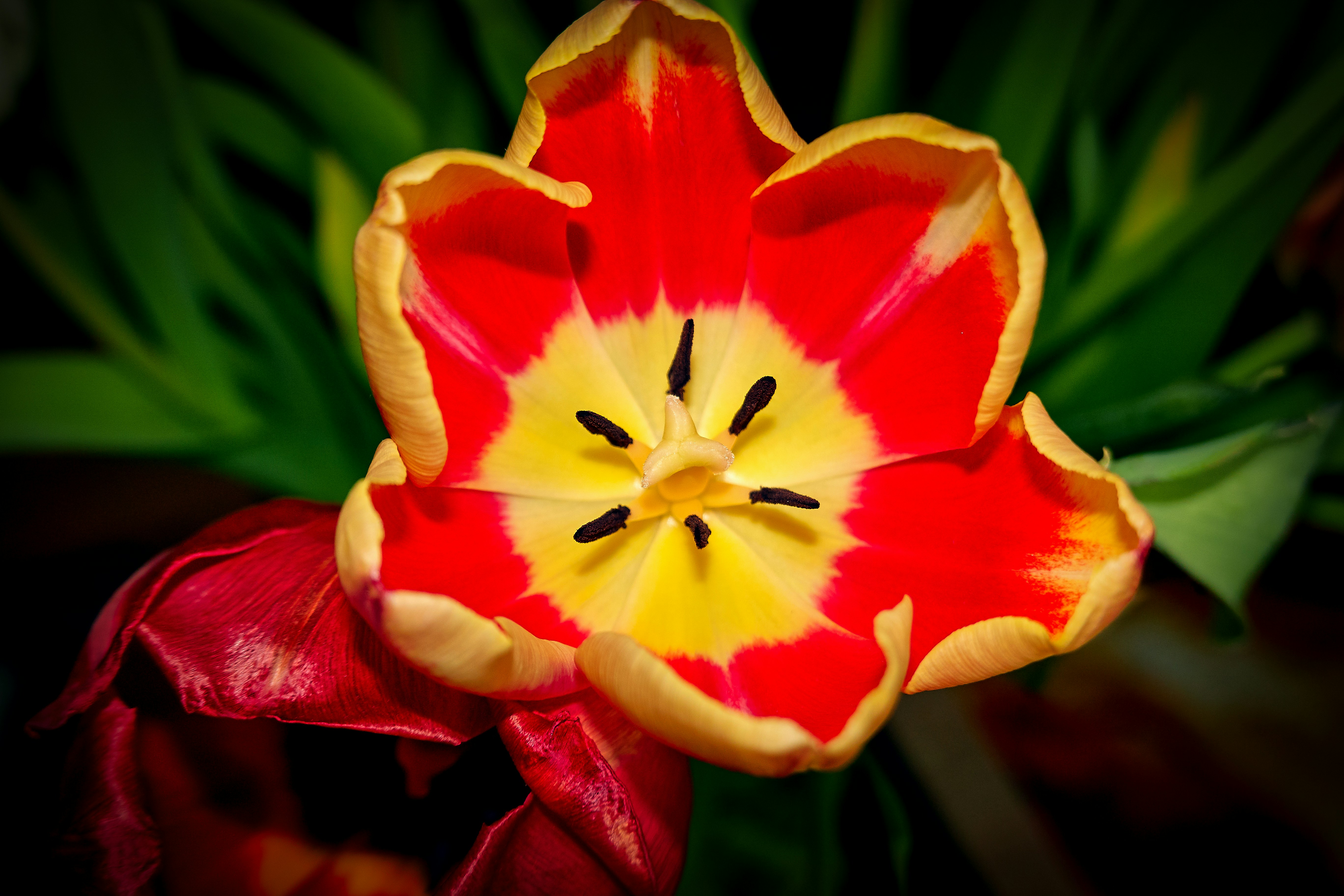 Photo by thomaswolter