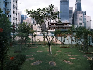 A small urban garden is situated in the foreground with neatly arranged plants and a central young tree. The background features a chain-link fence separating the garden from a modern cityscape, including a mix of traditional and contemporary architecture.