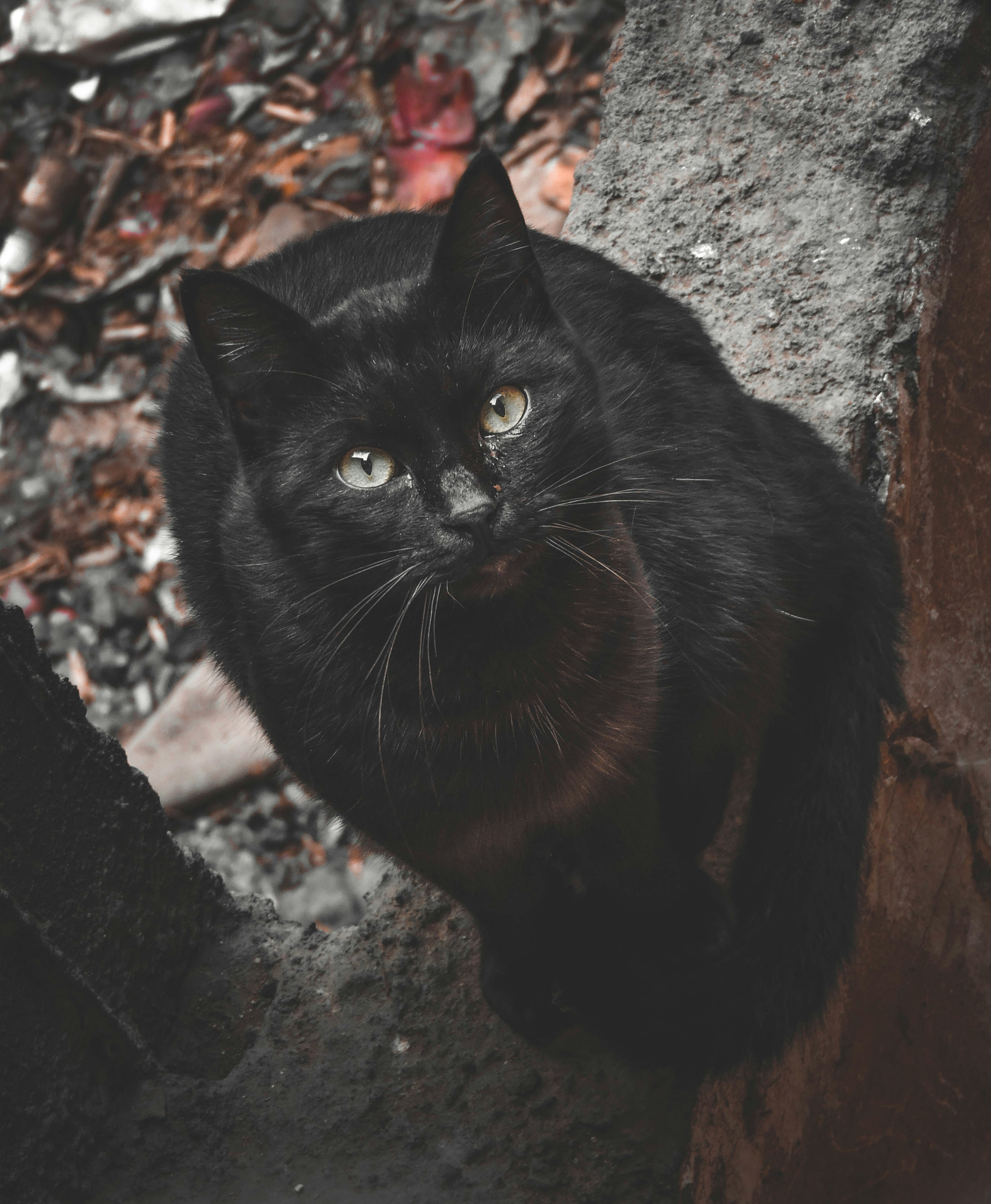 Photo by pringles_2002