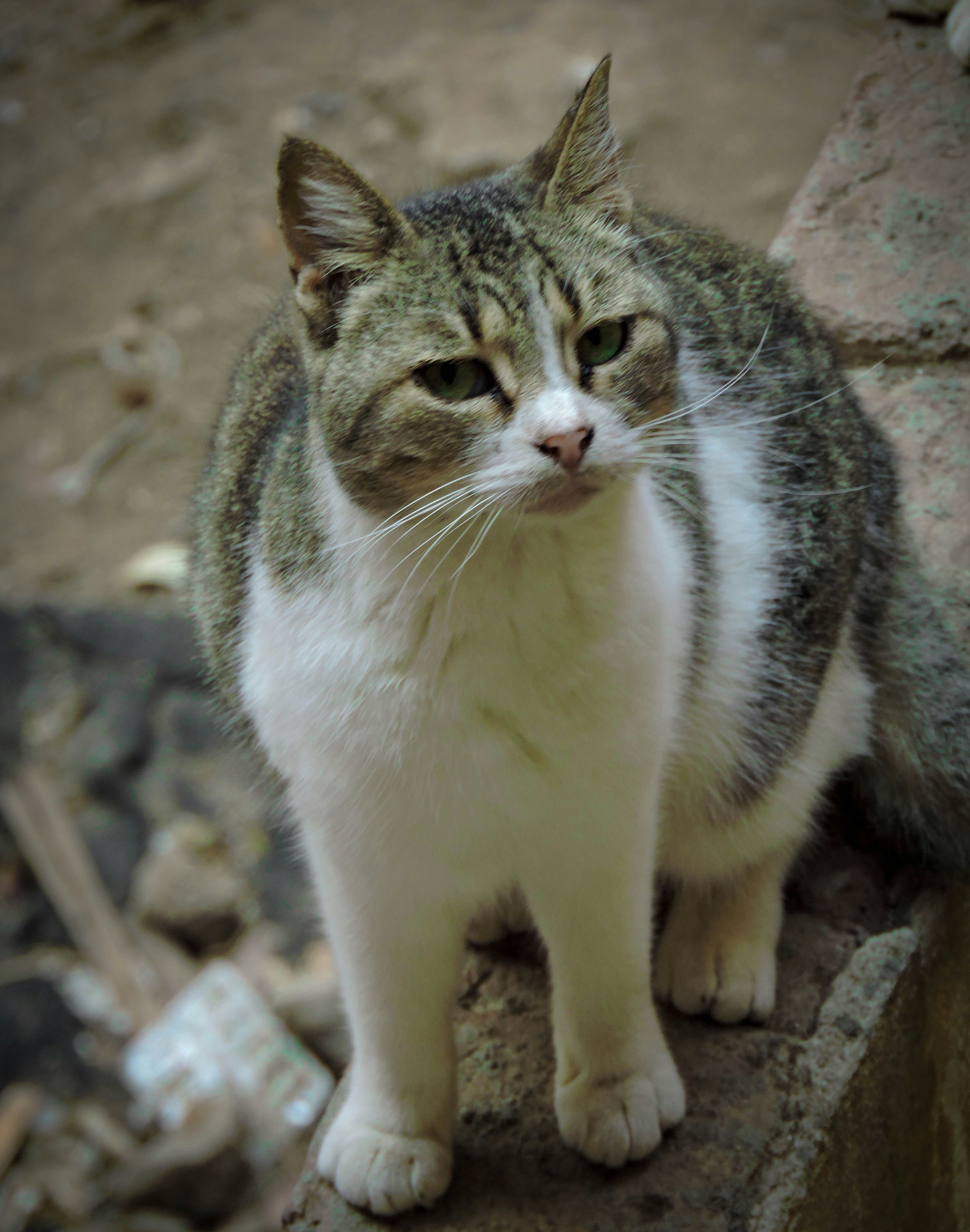 Photo by pringles_2002