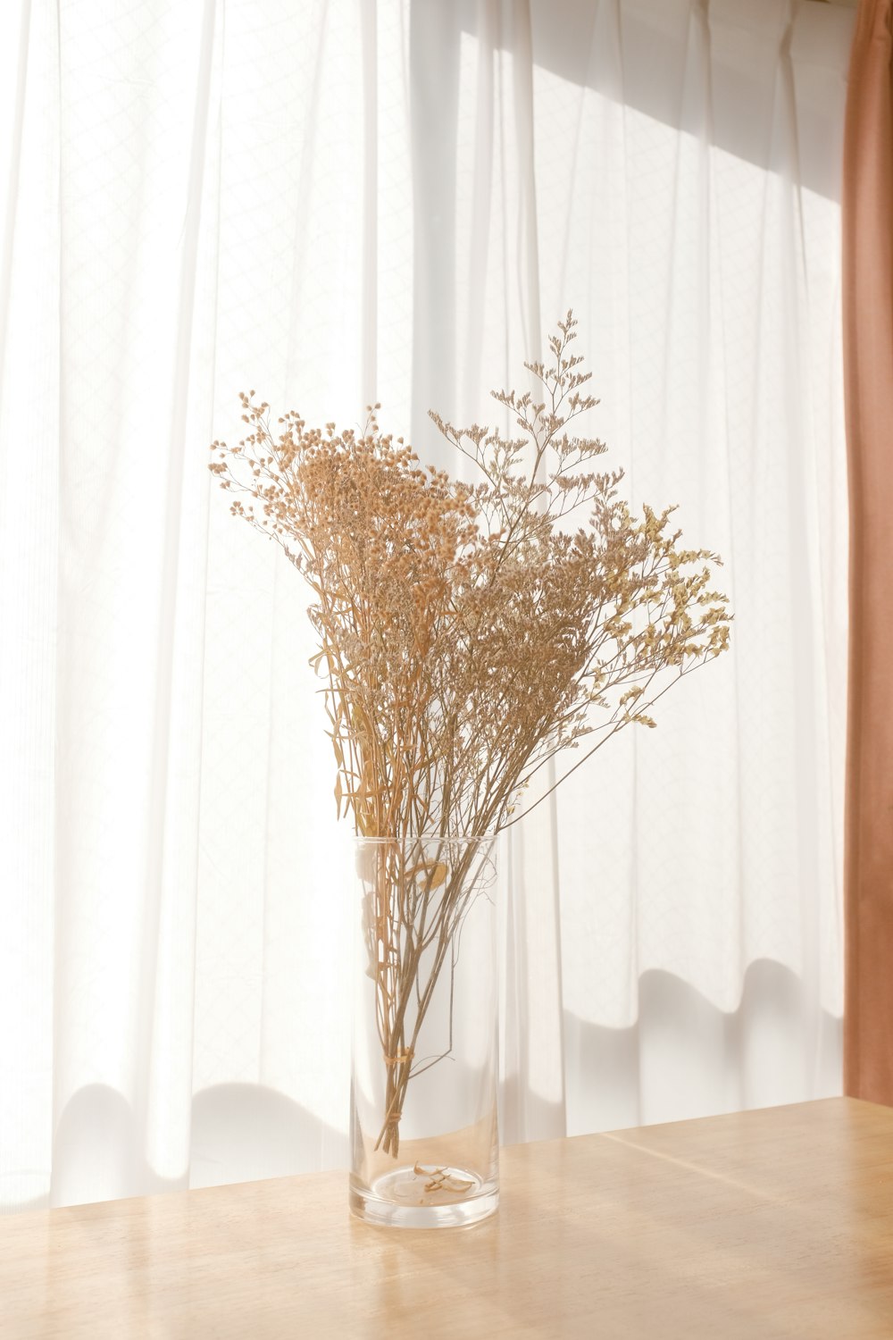 brown leafless tree in front of white curtain