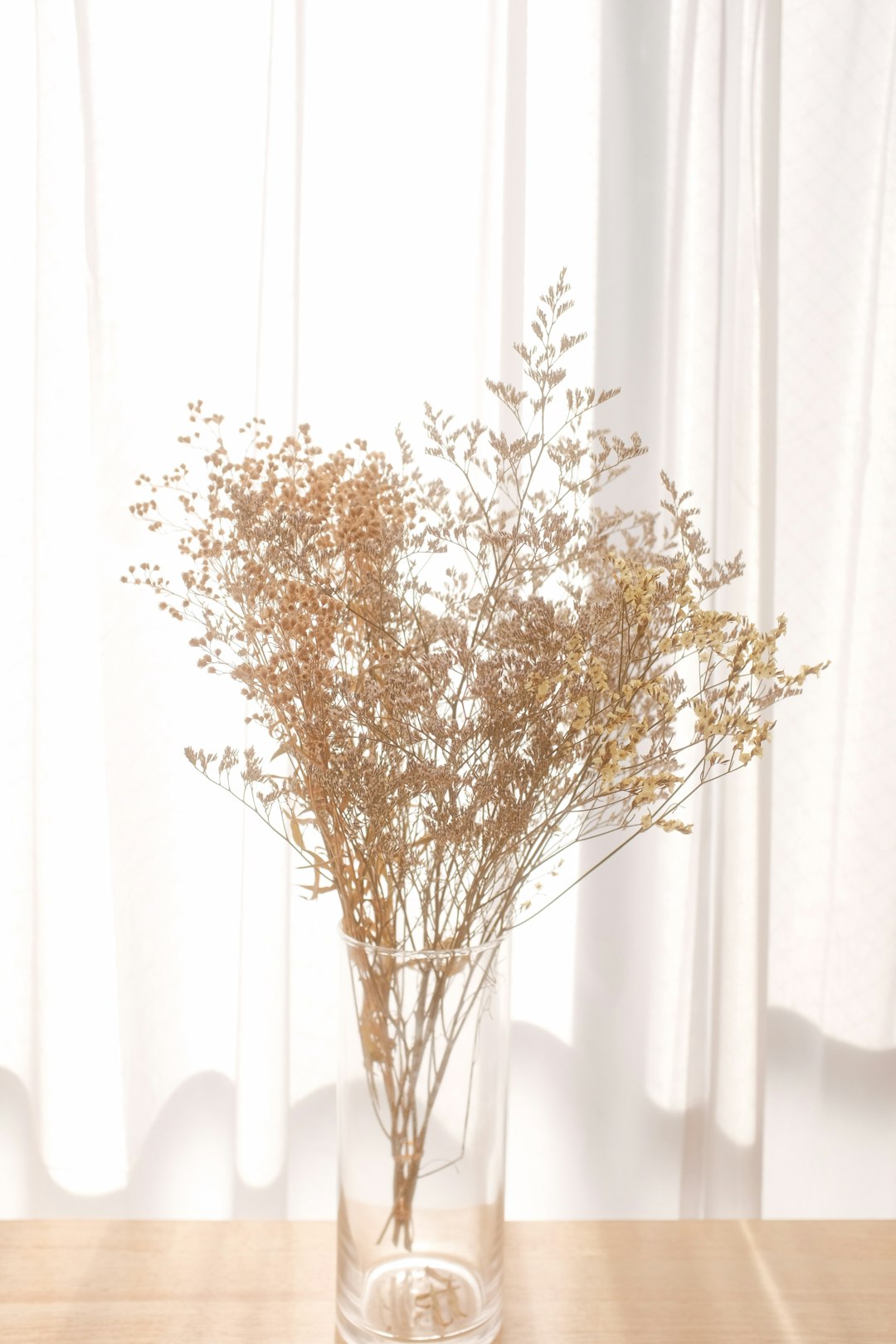 brown tree in front of white curtain