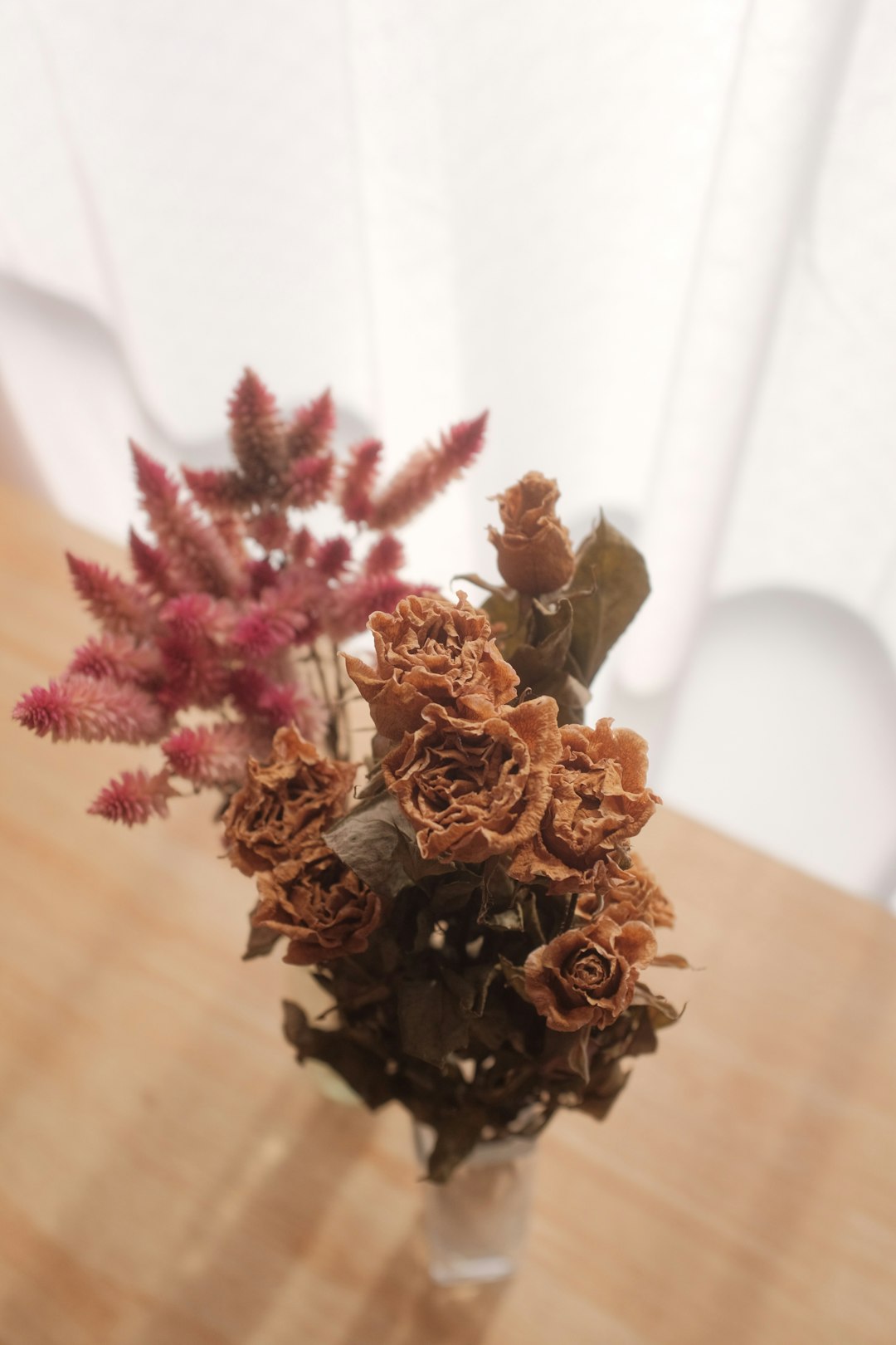 brown and red plant on brown wooden table