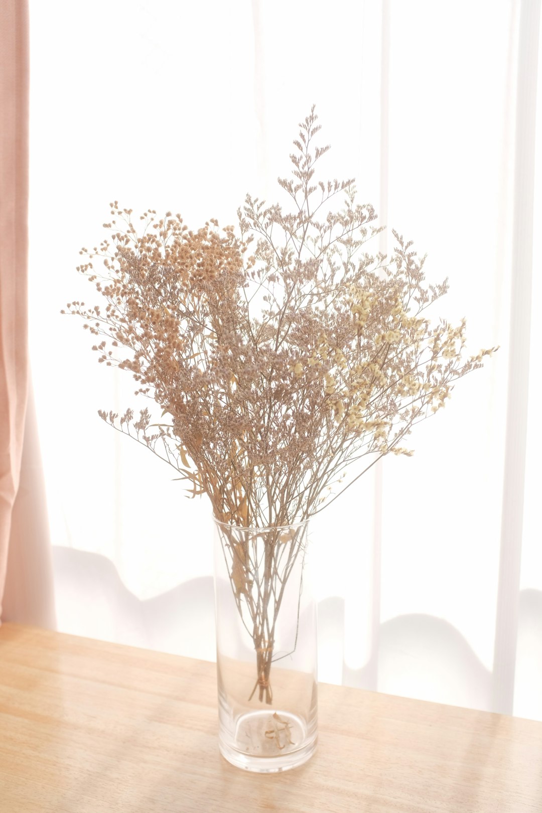 brown tree in glass vase
