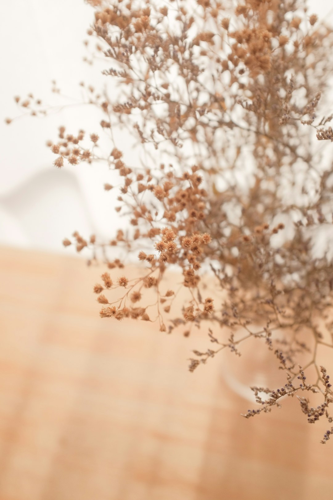 brown and white floral textile