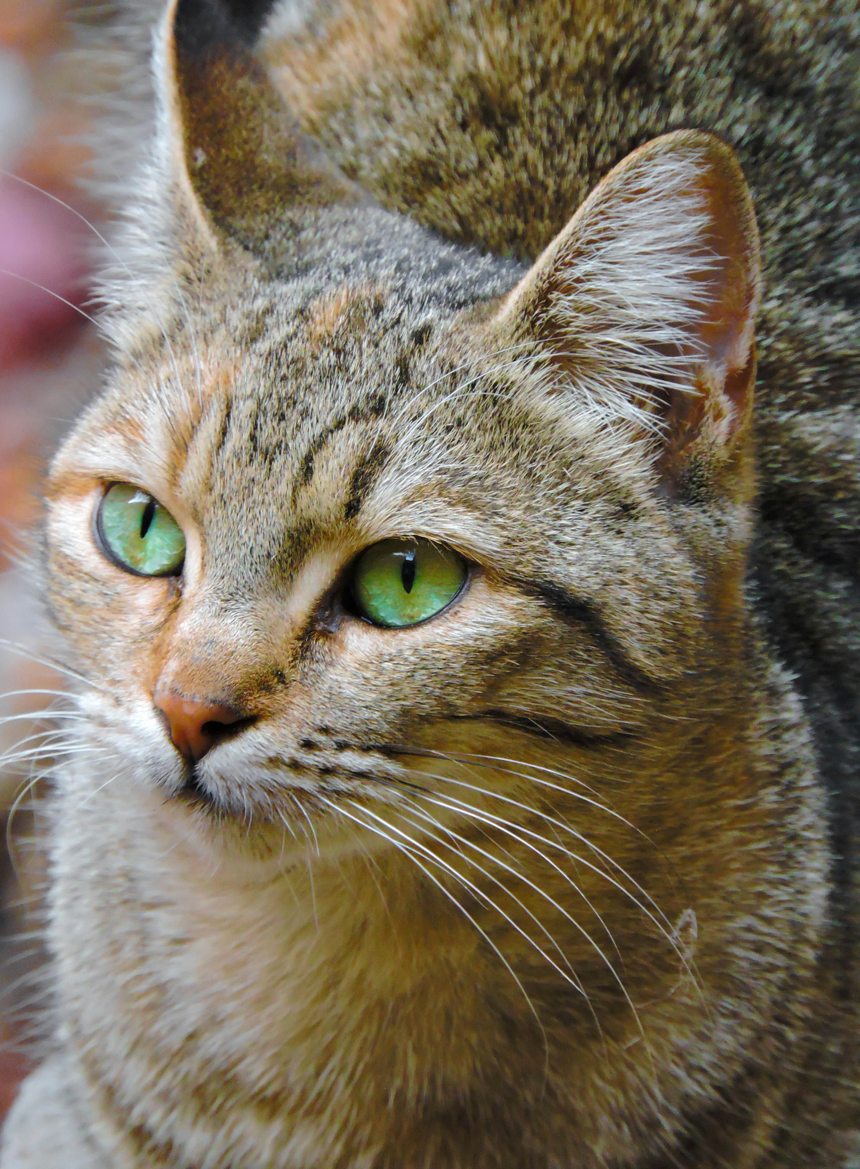 Photo by pringles_2002