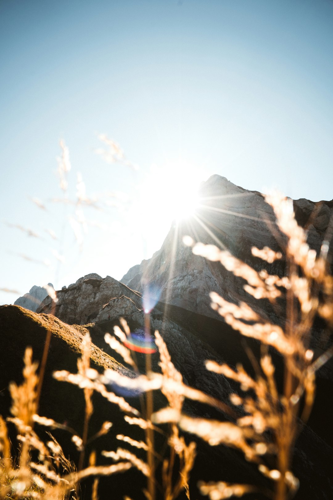 brown grass near mountain during daytime