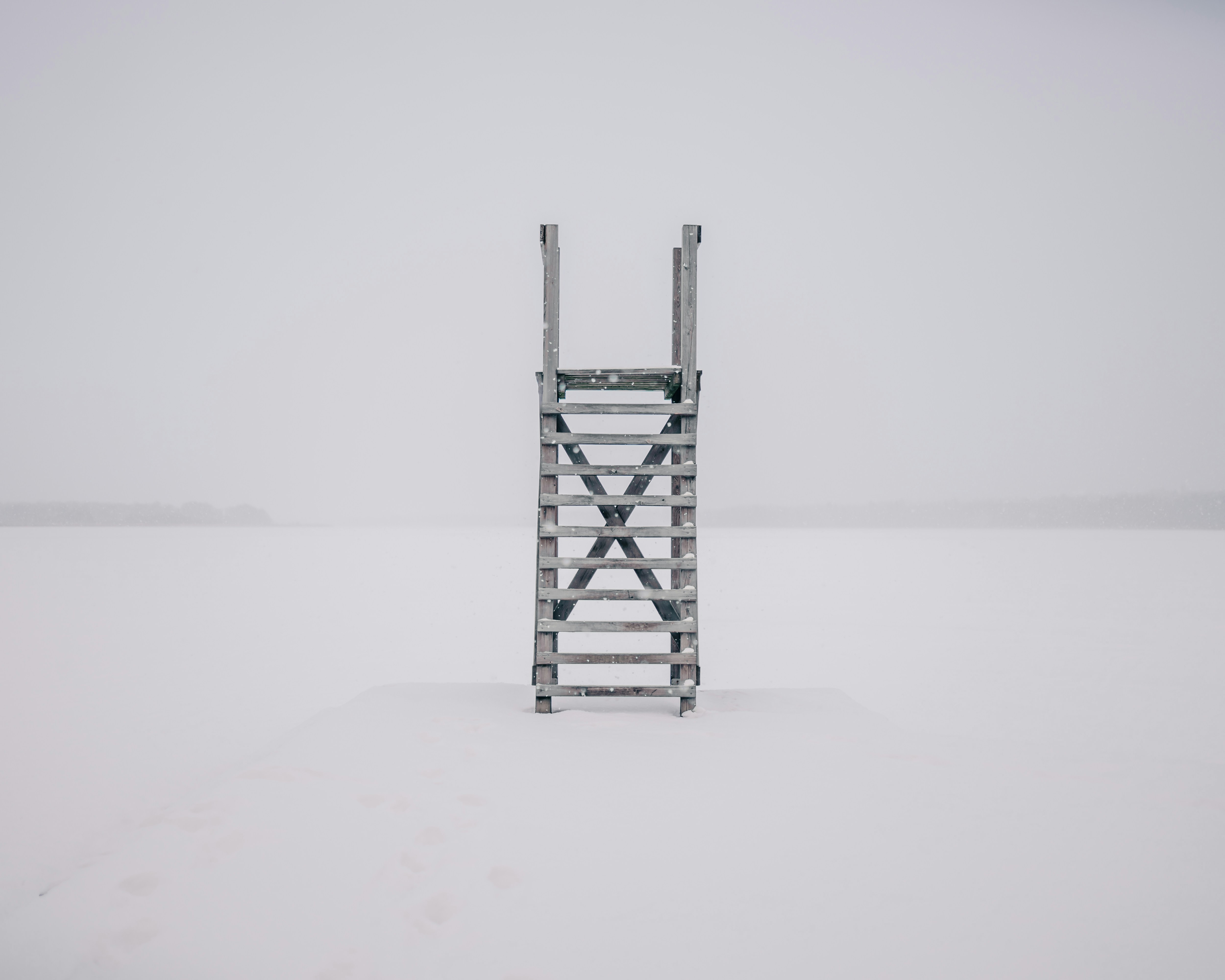 Photo by isakpetterssonfoto