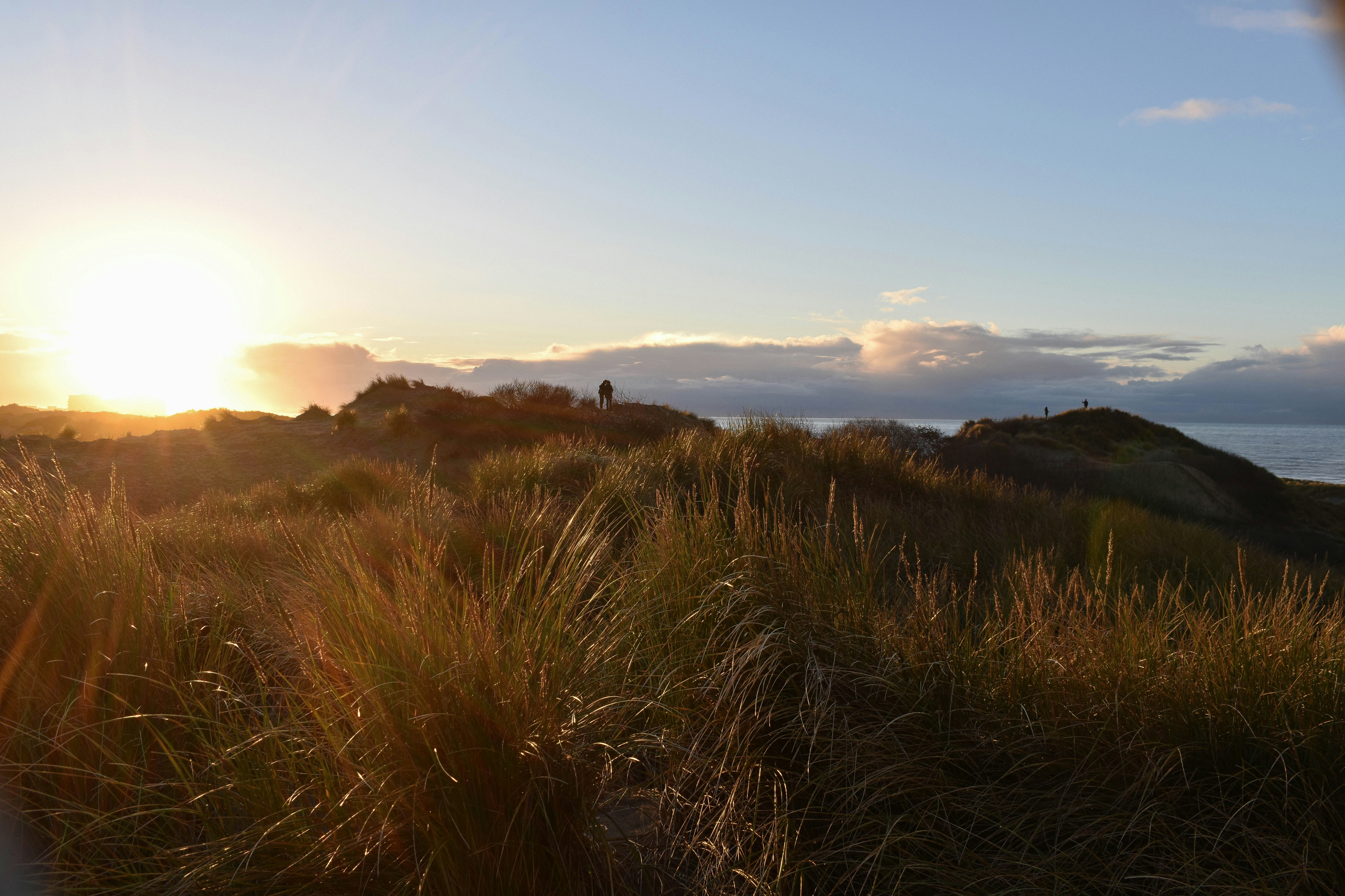 Photo by nickanddjalila