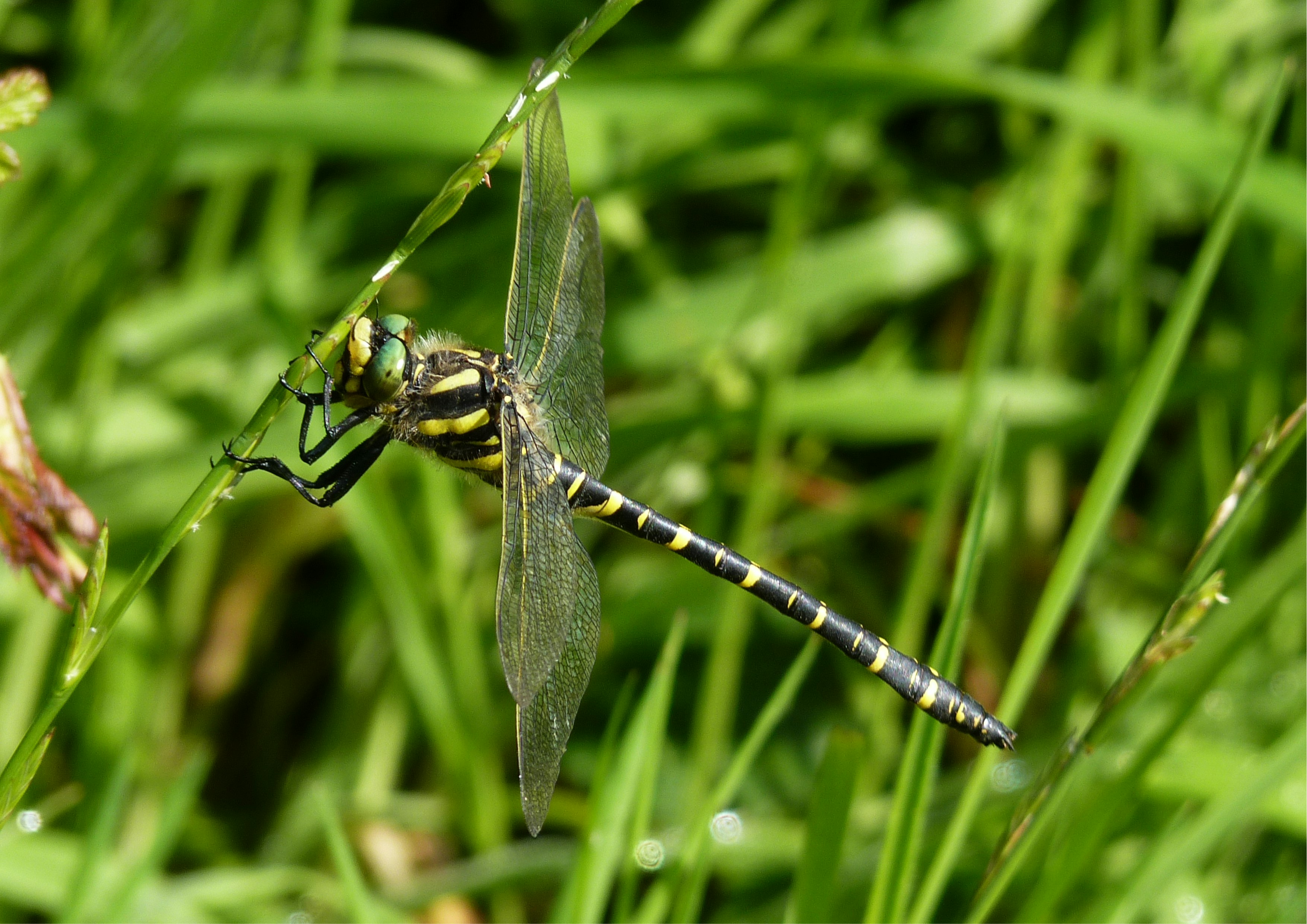 Photo by les_attridge