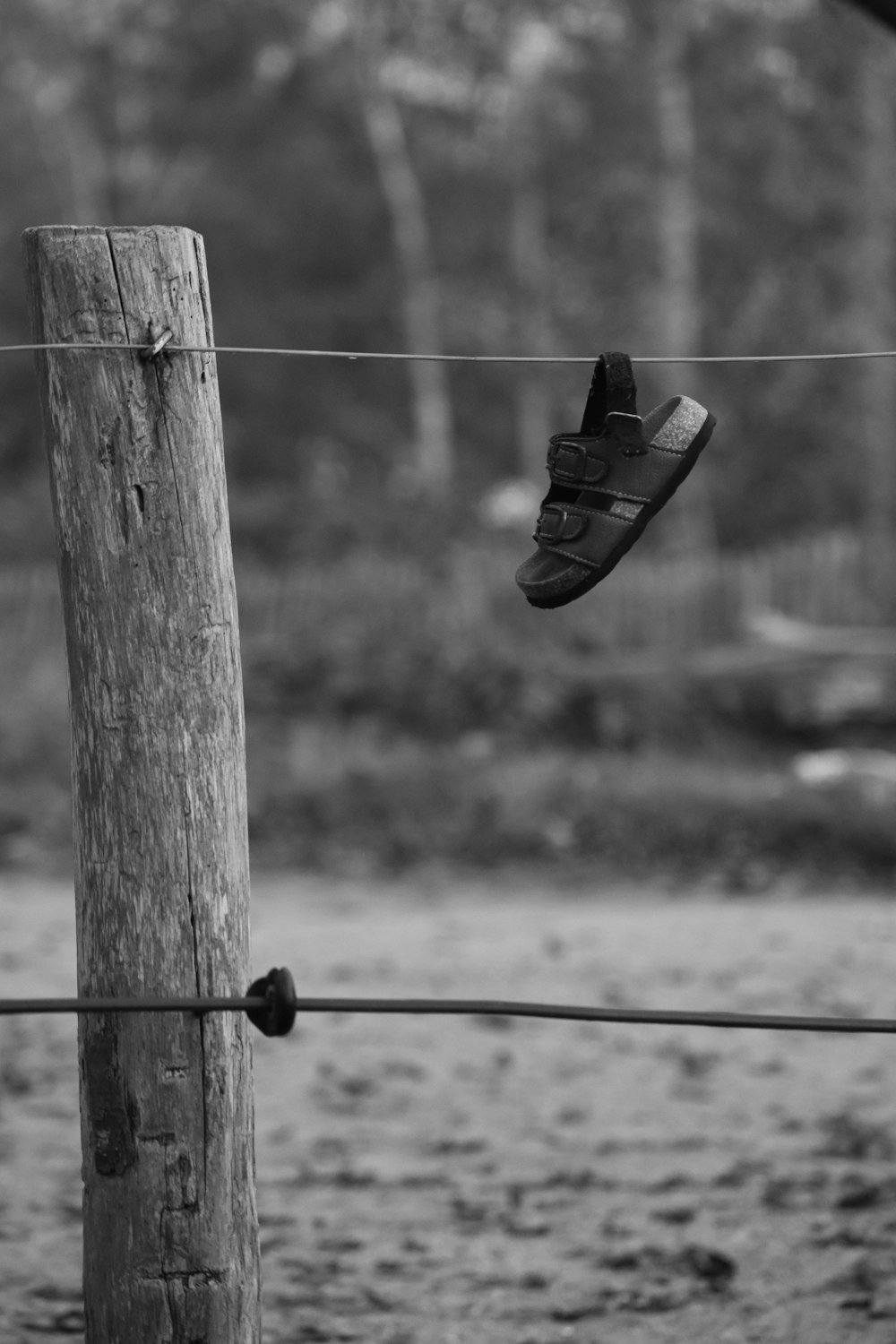 grayscale photo of black and white sneakers on wooden post