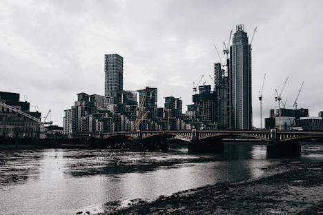 A city skyline with new construction cranes at work.