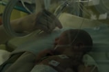 A newborn baby lies in an incubator, covered with a soft blanket and attached to medical monitoring equipment. A gentle hand reaches in to touch or comfort the infant, creating a sense of care and protection.