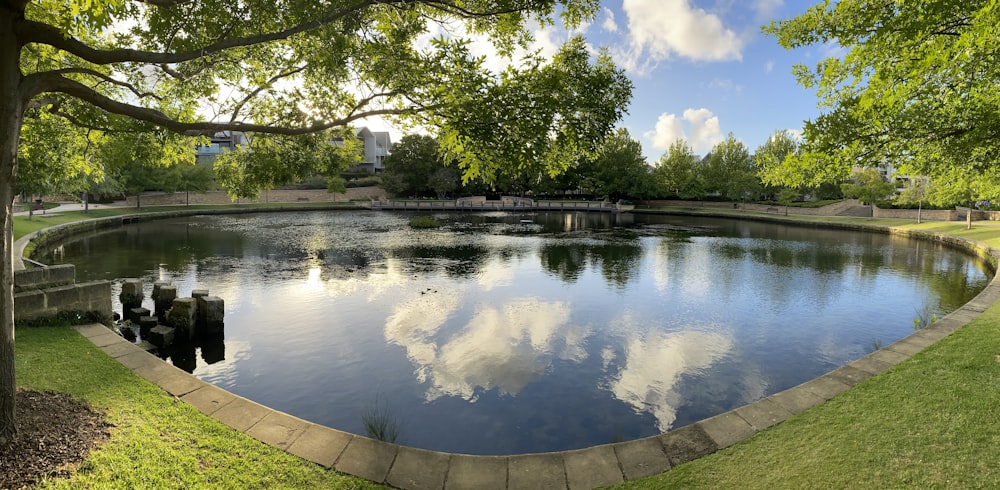 body of water near green trees during daytime