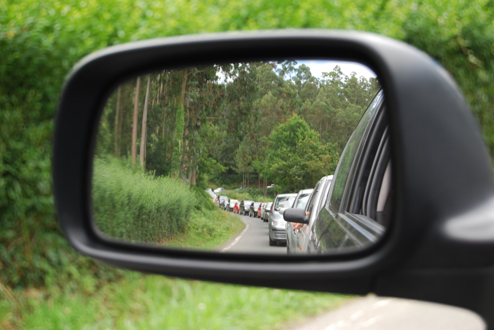 Espejo lateral del automóvil que muestra árboles verdes durante el día