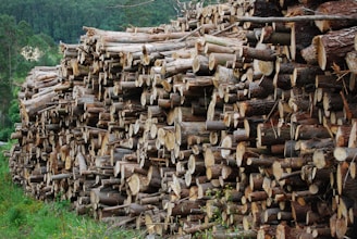 brown wood logs on green grass field during daytime