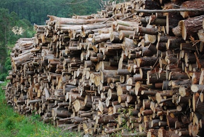 brown wood logs on green grass field during daytime