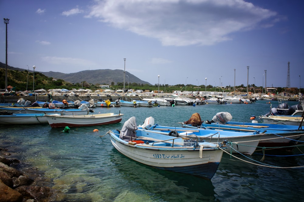 white and blue boat on sea during daytime