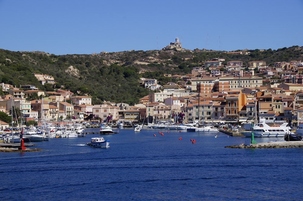 barca bianca sul mare vicino agli edifici della città durante il giorno