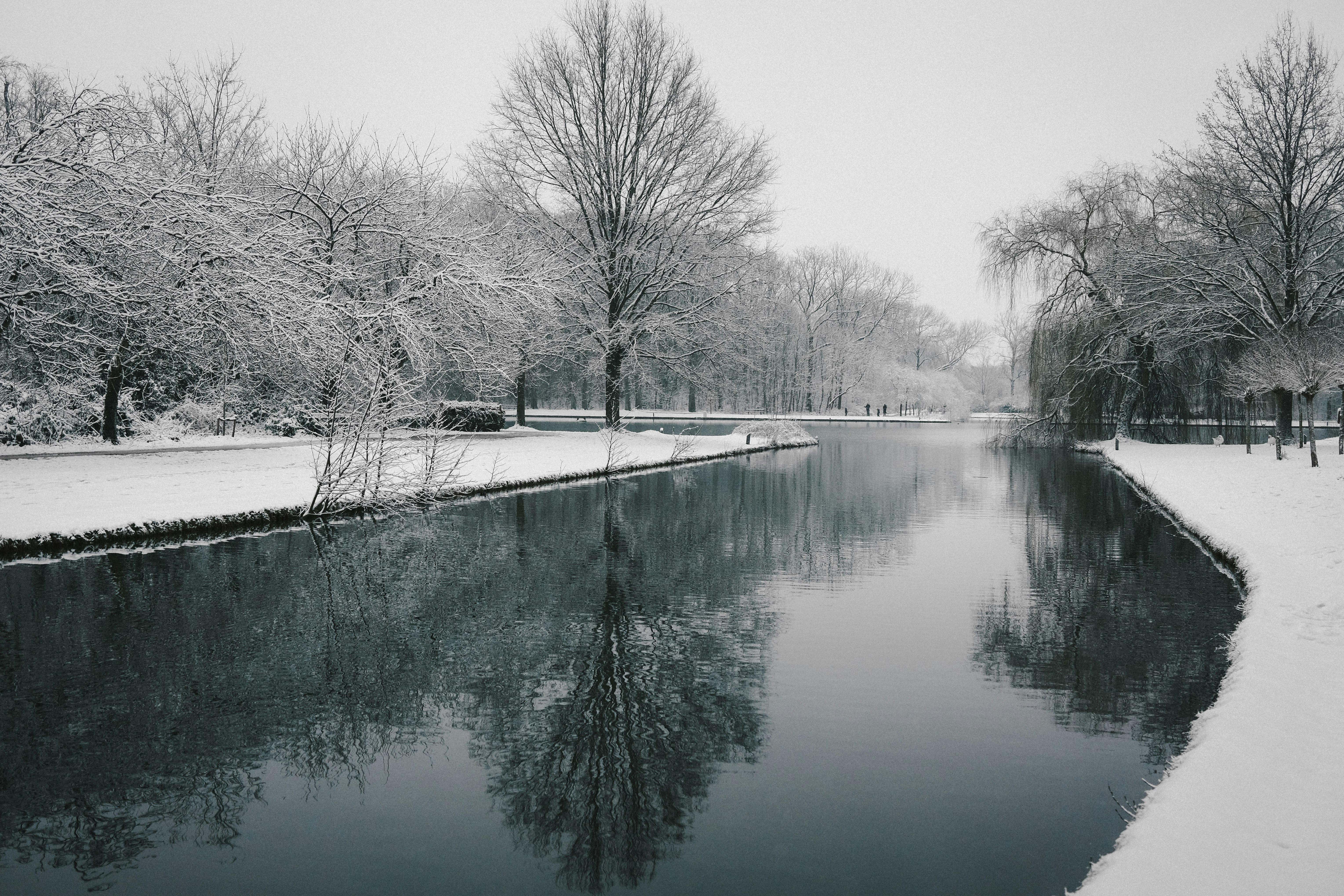 body of water near trees during daytime