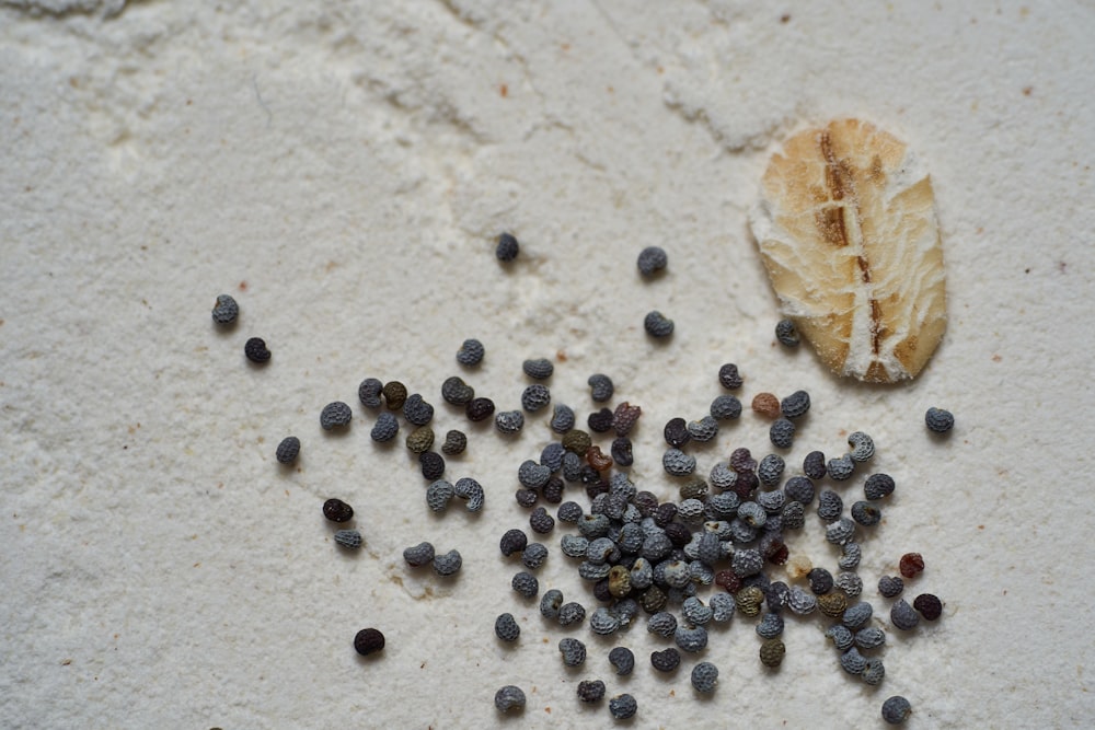 braune und schwarze Steine auf weißem Sand