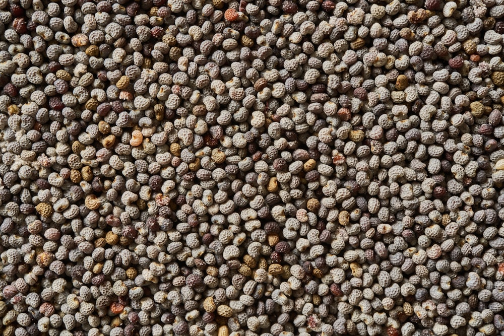 brown and black pebbles on ground