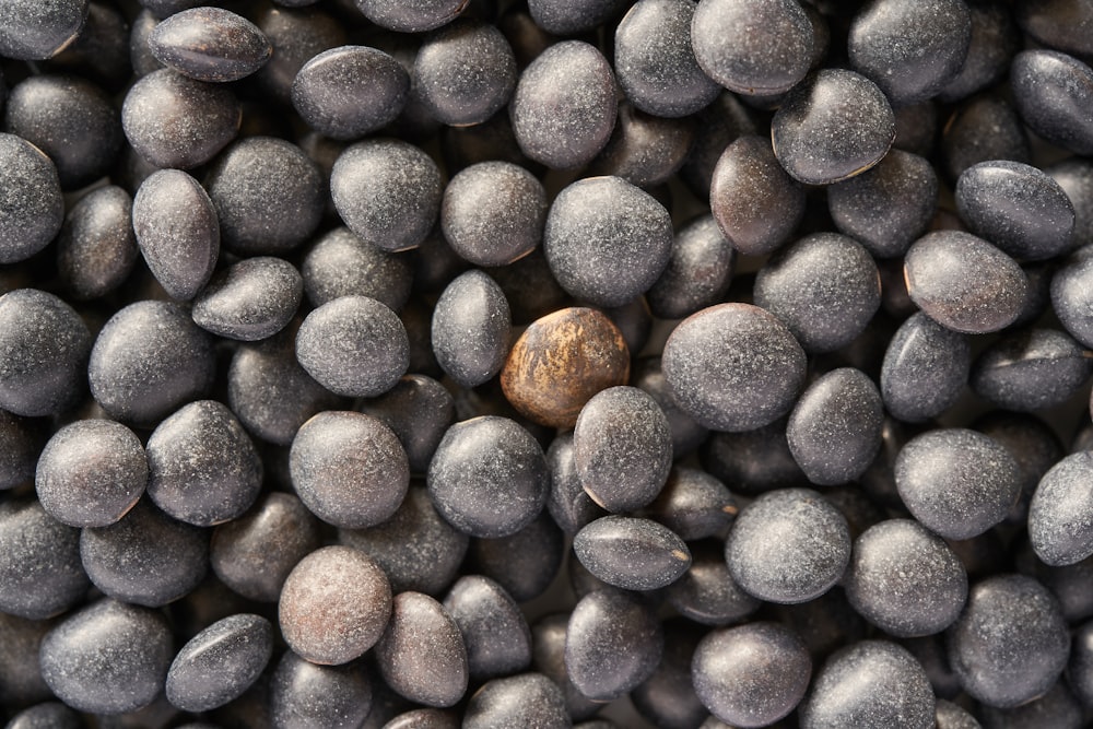 brown and black round fruits