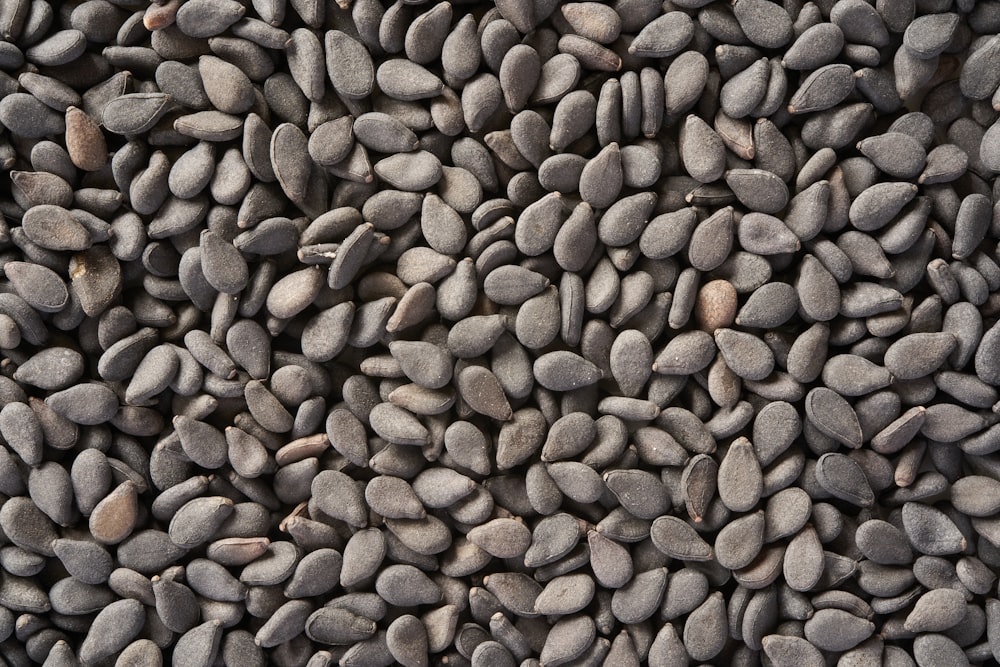 brown and black stones during daytime