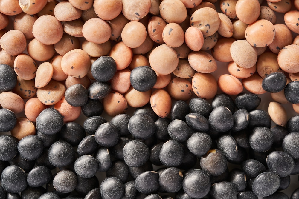 black and brown round fruits