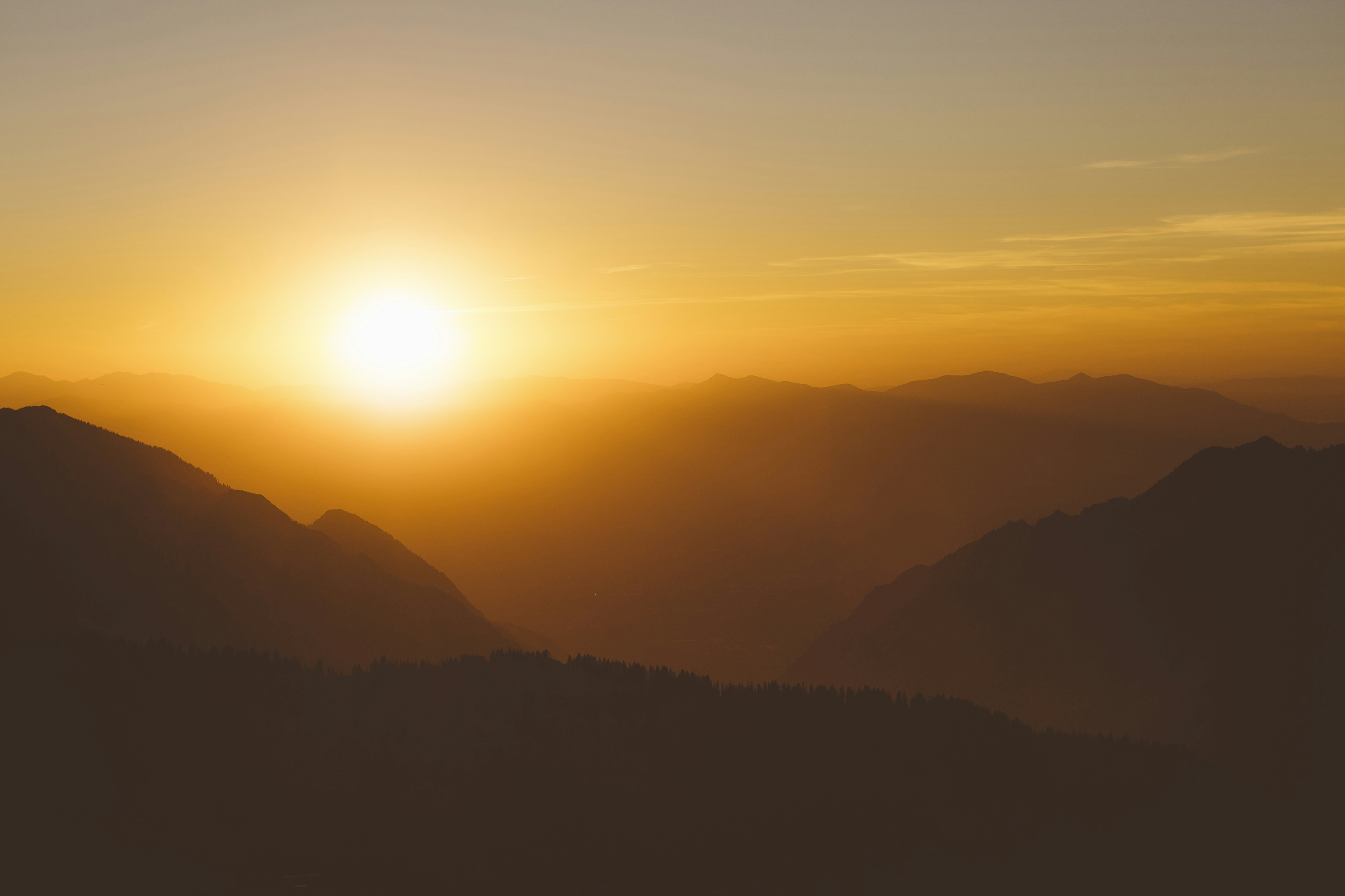 Photo by joetography