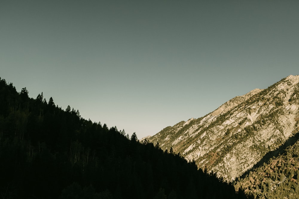 Grüne Bäume auf braunen Bergen unter blauem Himmel tagsüber