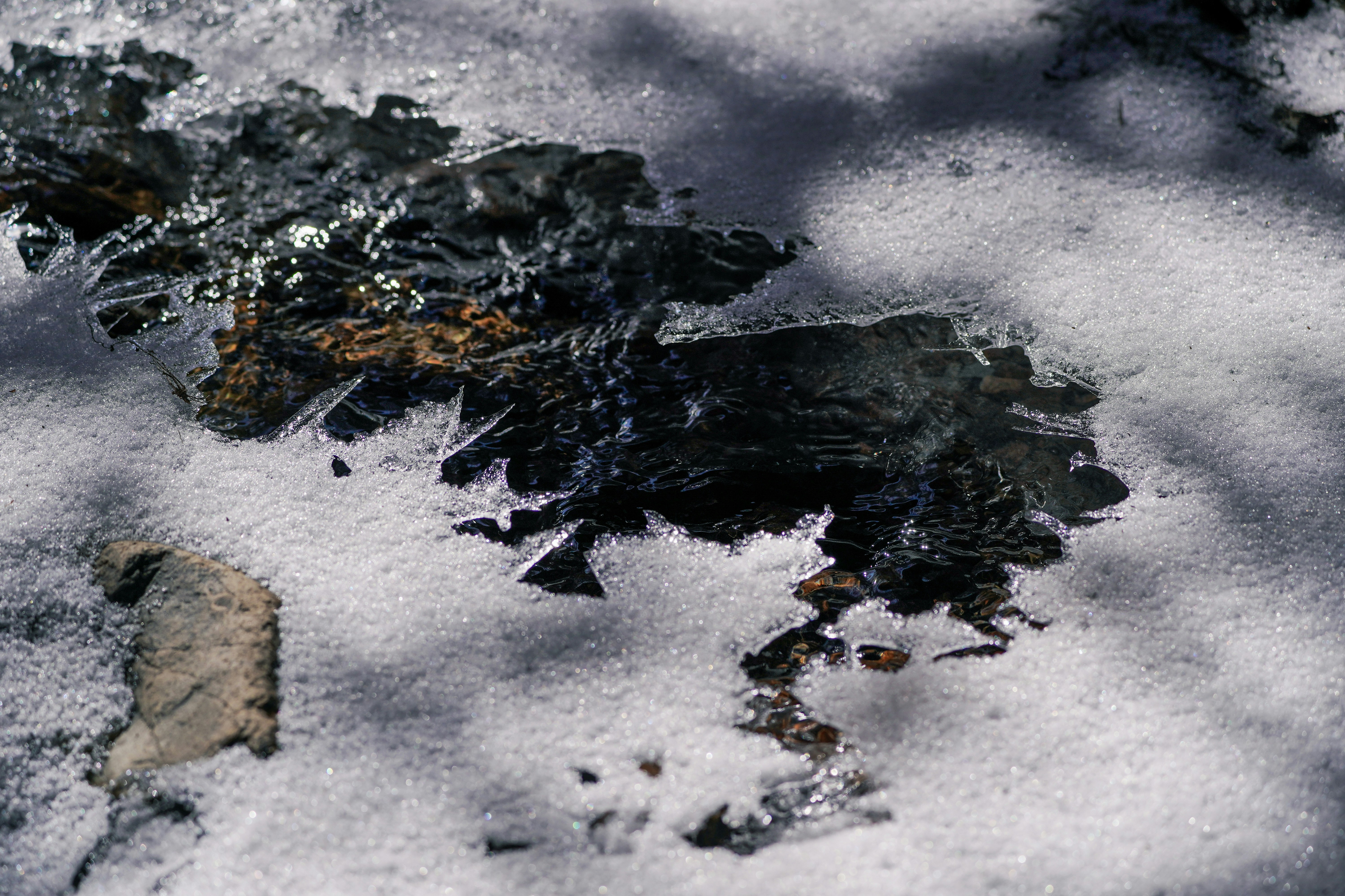 black and white snow on white sand