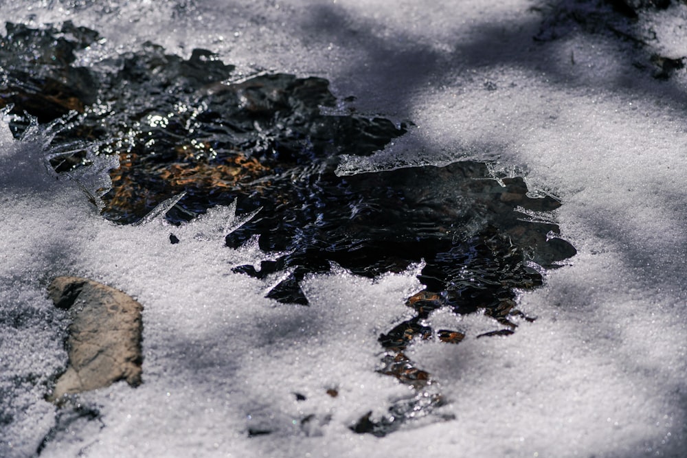 black and white snow on white sand